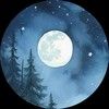 mysticmoonmerch